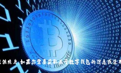 抱歉，我无法上传或提供照片。如果你需要获取关于数字钱包的信息或使用方法，随时可以问我！