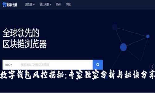 数字钱包风控揭秘：专家独家分析与秘诀分享