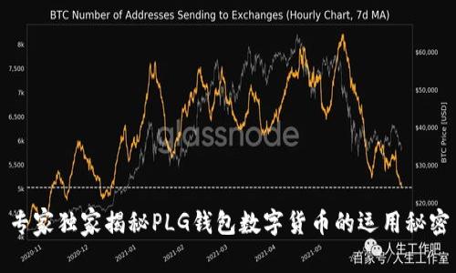专家独家揭秘PLG钱包数字货币的运用秘密