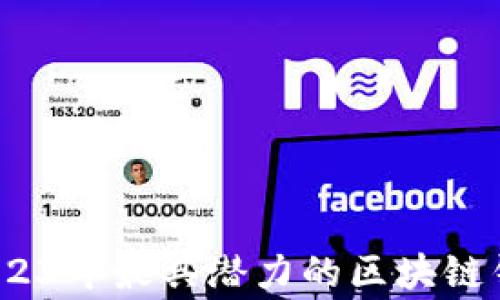 
专家揭秘：2023年最具潜力的区块链钱包独家秘诀