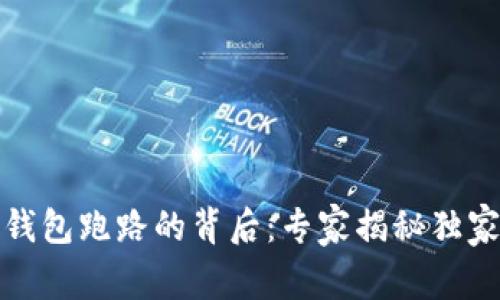 数字钱包跑路的背后：专家揭秘独家秘诀