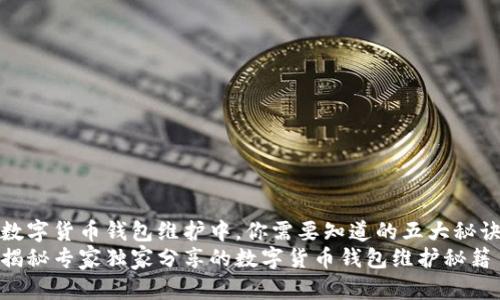 数字货币钱包维护中，你需要知道的五大秘诀
揭秘专家独家分享的数字货币钱包维护秘籍