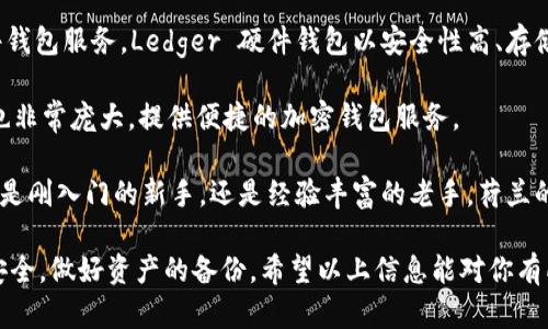 荷兰在加密货币领域逐渐崭露头角，许多品牌开始涌现。虽然荷兰的加密钱包市场与全球相比相对较小，但仍有一些知名品牌和平台值得关注。以下是荷兰一些知名的加密钱包品牌：

1. **Bitonic**：Bitonic 是荷兰最大的比特币交易平台之一，也提供钱包服务。用户可以在平台上安全地存储和管理他们的比特币。Bitonic 以其用户友好的界面和优秀的客户支持而闻名。

2. **DutchX**：这是一个去中心化的交易所(Dex)，虽然它不完全是一个加密钱包，但它支持用户在平台上管理和交易他们的加密资产。用户需要使用以太坊钱包（例如 MetaMask）与 DutchX 进行交互。

3. **Bluewallet**：虽然蓝色钱包是一个全球性的品牌，但在荷兰非常受欢迎。它支持比特币钱包功能，使用户能够轻松发送和接收比特币。

4. **Ledger**：虽然 Ledger 是一个法国品牌，但它在荷兰非常流行，提供硬件钱包服务。Ledger 硬件钱包以安全性高、存储加密货币的安全性著称。

5. **Coinbase**：这虽然是一个全球性的加密货币交易平台，但在荷兰的用户也非常庞大，提供便捷的加密钱包服务。

这些品牌为用户提供了多样化的选择，适合不同需求的加密货币爱好者。不论你是刚入门的新手，还是经验丰富的老手，荷兰的这些加密钱包品牌都有可能满足你的需求。

当然，使用加密钱包时请务必注意安全问题，不要泄露个人信息，确保你的私钥安全，做好资产的备份。希望以上信息能对你有所帮助！如果你有其他问题，或者对某个品牌感兴趣，随时问我哦！