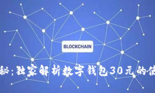 专家揭秘：独家解析数字钱包30元的使用秘诀