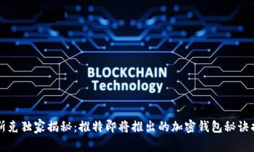 马斯克独家揭秘：推特即将推出的加密钱包秘诀揭秘