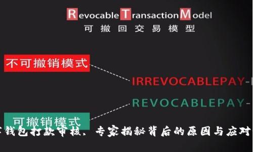 数字钱包打款审核, 专家揭秘背后的原因与应对秘诀