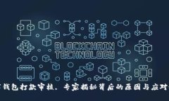 数字钱包打款审核, 专家揭秘背后的原因与应对秘