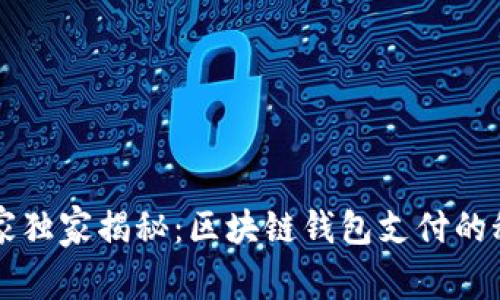 专家独家揭秘：区块链钱包支付的秘诀