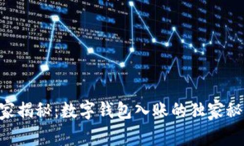 专家揭秘：数字钱包入账的独家秘诀!