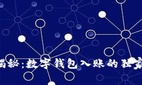 专家揭秘：数字钱包入账的独家秘诀!