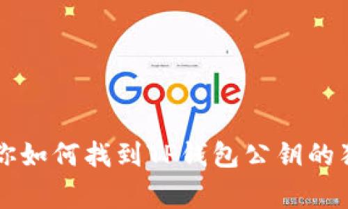 专家教你如何找到TP钱包公钥的独家秘诀