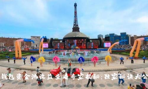 TP钱包资金池收益查看专家揭秘：独家秘诀大公开