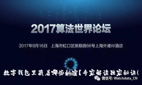 数字钱包里藏着哪些秘密？专家解读独家秘诀！