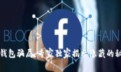 揭秘虚拟数字钱包骗局：专家独家揭示隐藏的秘