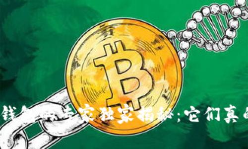 数字货币钱包的专家独家揭秘：它们真的通用吗？