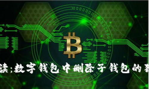 专家解读：数字钱包中删除子钱包的独家秘诀