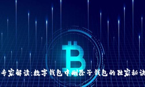 专家解读：数字钱包中删除子钱包的独家秘诀