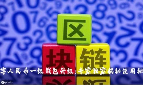 数字人民币一级钱包升级：专家独家揭秘使用秘诀