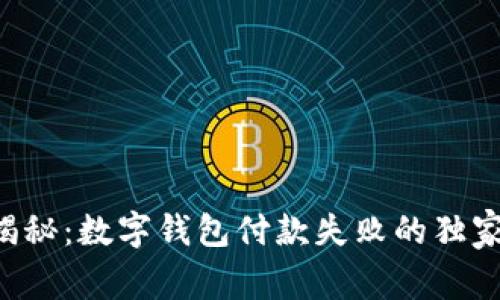 专家揭秘：数字钱包付款失败的独家秘诀！