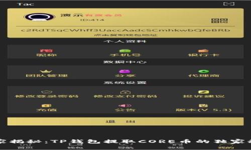 专家揭秘：TP钱包提取CORE币的独家秘诀