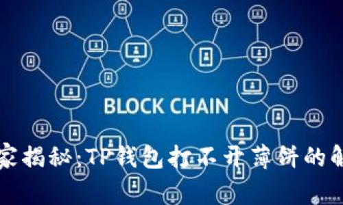 专家独家揭秘：TP钱包打不开薄饼的解决秘诀