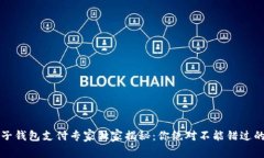 区块链电子钱包支付专家独家揭秘：你绝对不能