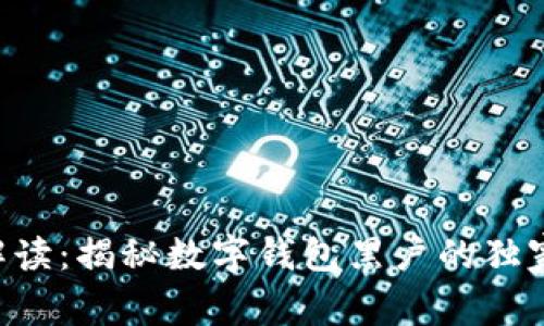 专家解读：揭秘数字钱包黑户的独家秘诀！