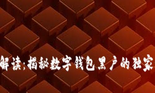 专家解读：揭秘数字钱包黑户的独家秘诀！