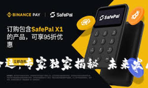 数字钱包的命运：专家独家揭秘 未来发展与应用秘诀