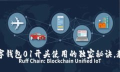 专家揭秘：数字钱包01开头使用的独家秘诀，教你