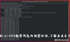 专家揭秘：e-CNY数字钱包的独家秘诀，了解未来支