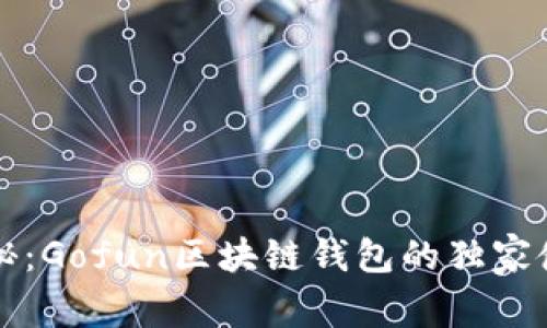 专家揭秘：Gofun区块链钱包的独家使用秘诀