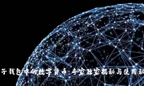 电子钱包中的数字货币：专家独家揭秘与使用秘诀