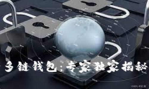 数字资产多链钱包：专家独家揭秘使用秘诀