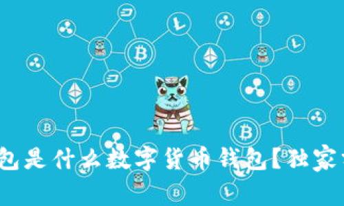 专家揭秘：冷钱包是什么数字货币钱包？独家分析与使用秘诀