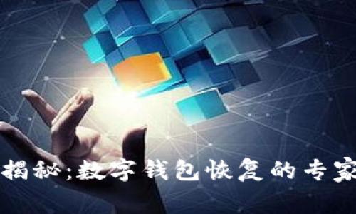 独家揭秘：数字钱包恢复的专家秘诀