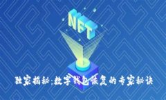 独家揭秘：数字钱包恢复的专家秘诀