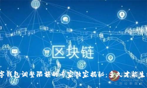 数字钱包调整限额的专家独家揭秘：多久才能生效？