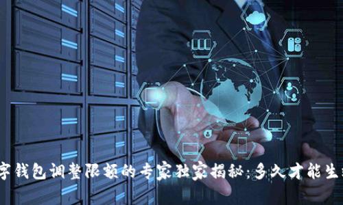 数字钱包调整限额的专家独家揭秘：多久才能生效？