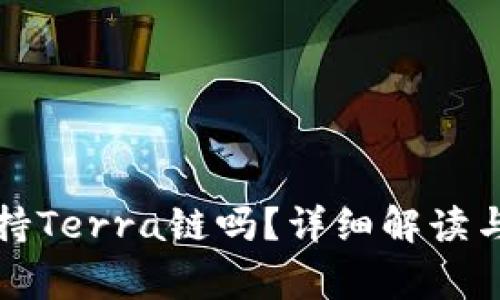 TP钱包支持Terra链吗？详细解读与常见问题