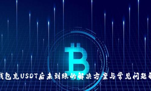 TP钱包充USDT后未到账的解决方案与常见问题解答