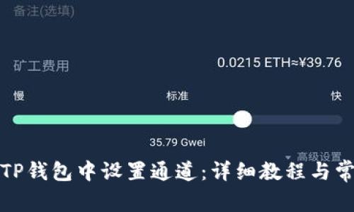 如何在TP钱包中设置通道：详细教程与常见问题