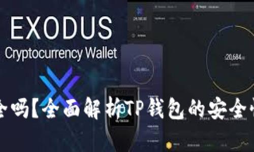 TP钱包币安全吗？全面解析TP钱包的安全性与使用指南