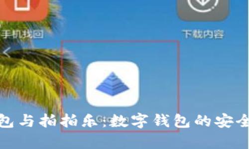 全面解析TP钱包与拍拍乐：数字钱包的安全性与使用体验