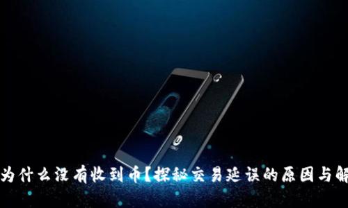 TP钱包为什么没有收到币？探秘交易延误的原因与解决方案