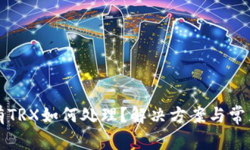 TP钱包没有TRX如何处理？解决方案与常见问题解析