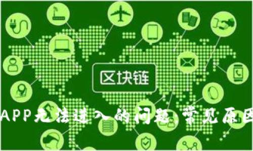 解决TP钱包APP无法进入的问题：常见原因及解决方法