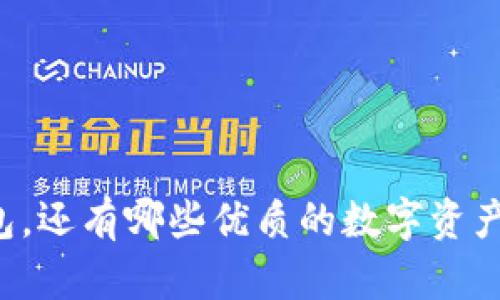 除了TP钱包，还有哪些优质的数字资产管理工具？