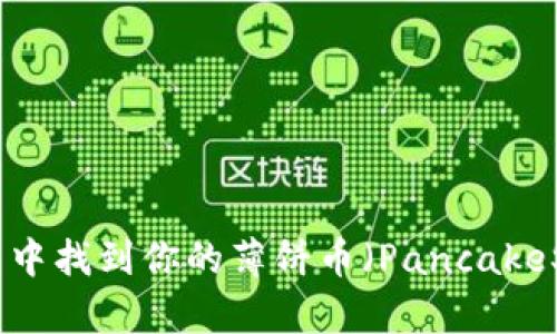 如何在TP钱包中找到你的薄饼币（PancakeSwap Token）