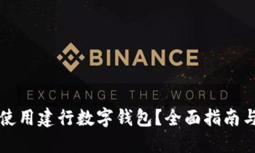 如何高效使用建行数字钱包？全面指南与技巧分享